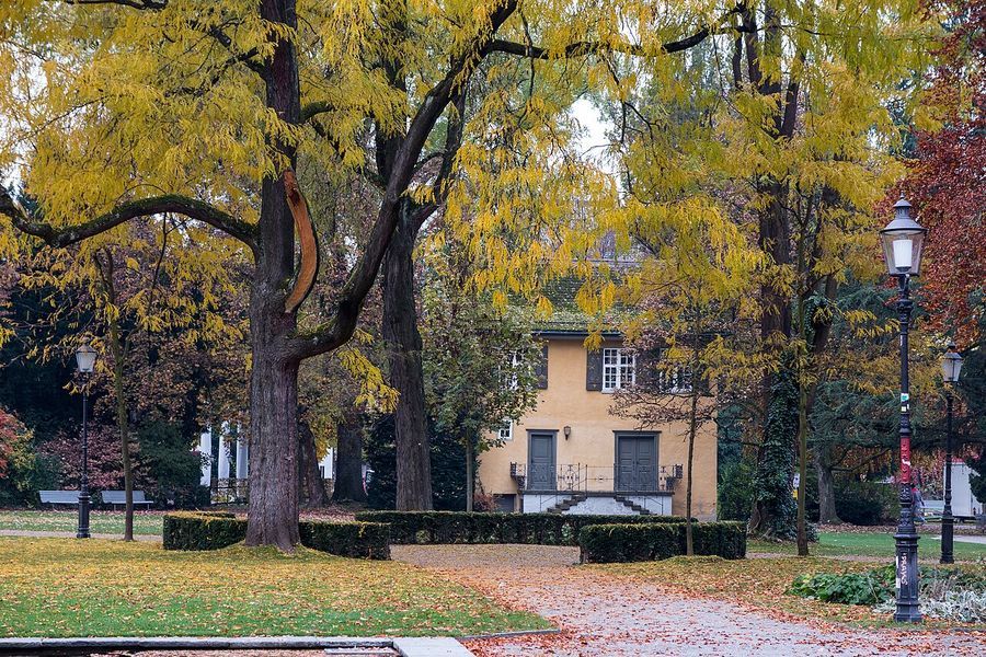 Stadtgarten Winterthur im Herbst